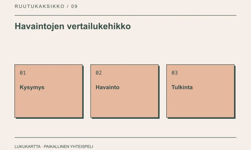 Havaintojen vertailukehikko: Kysymys, Havainto, Tulkinta